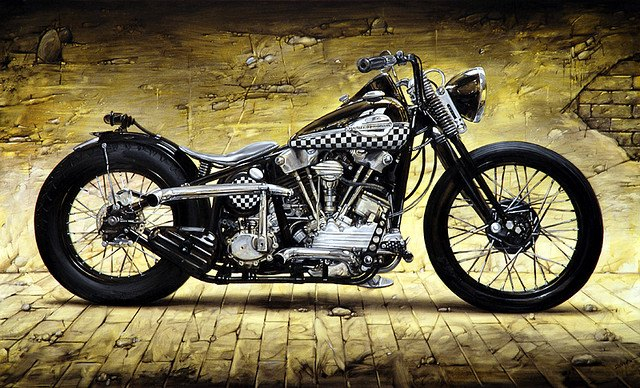 harley-diverse-35