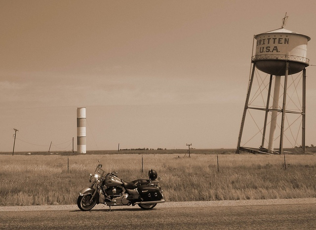 harley-diverse-63