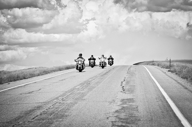 harley-diverse-84