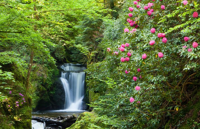 Natur_154_FB_front_large