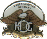 bcg-pin
