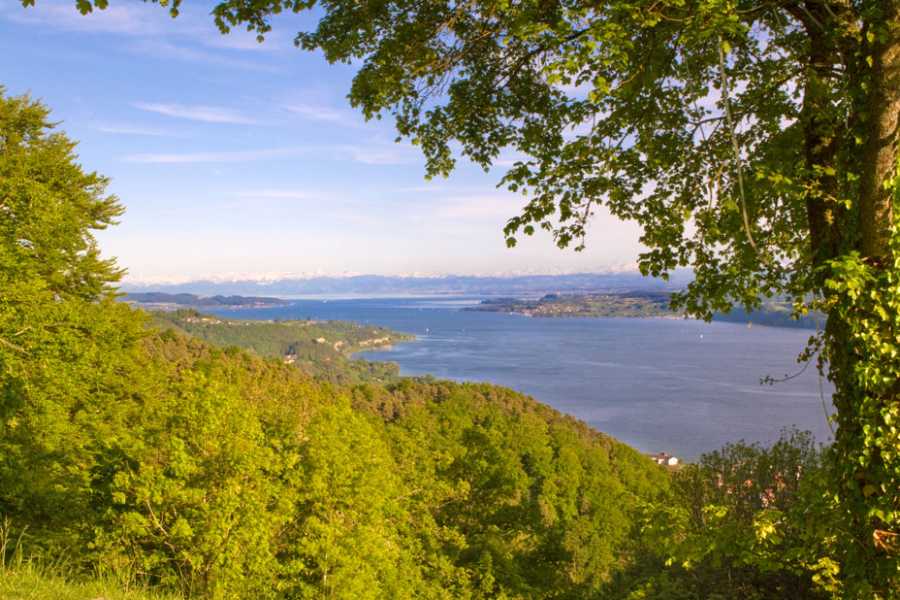 Haldenhof-Schoenster-Aussichtspunkt-04