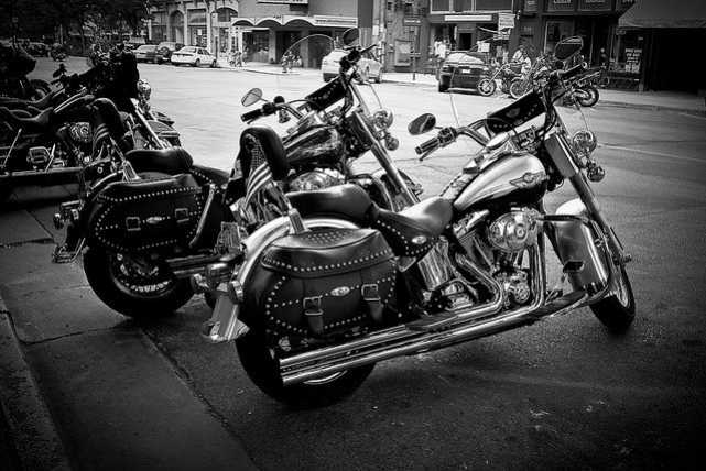 harley-diverse-28