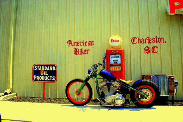 harley-diverse-66